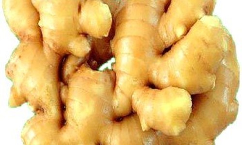 玉石的作用与功效-玉石的作用与功效网 - 为你提供玉石的作用与功效、玉有什么好处和功效